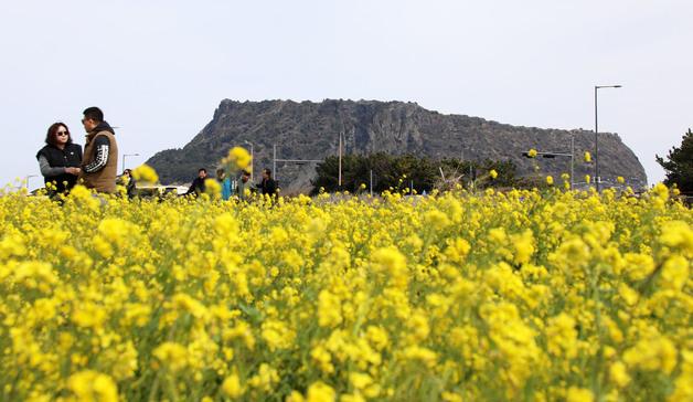 [오늘의 날씨] 제주(10일, 화)…아침 기온 1~4도