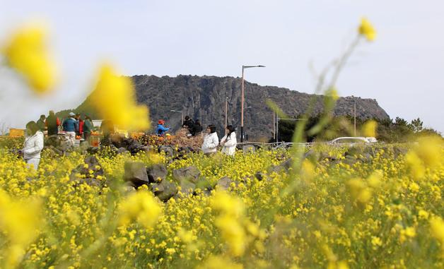 [오늘의 날씨] 제주(14일, 목)…맑지만 큰 일교차 주의