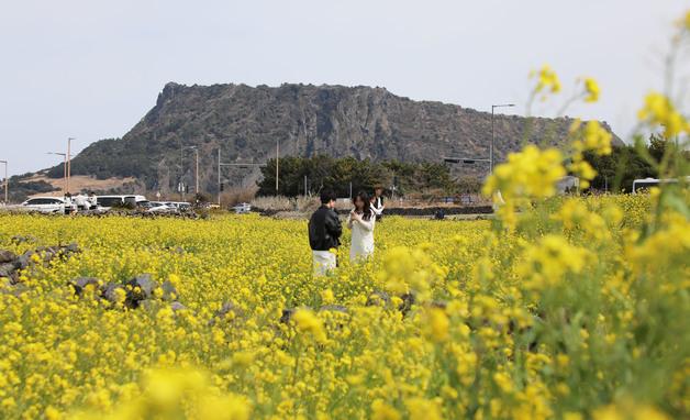 [오늘의 날씨] 제주(9일, 월)…가끔 구름 많음, 큰 일교차 주의