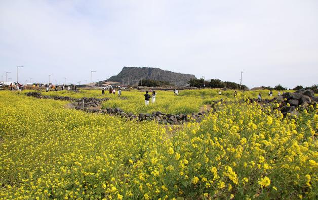 [오늘의 날씨] 제주(1일, 금)…맑다가 밤부터 흐림·강풍 주의