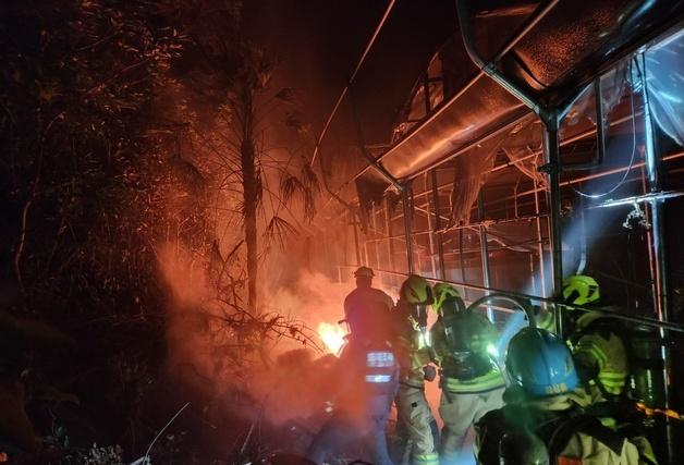 제주 성산읍 감귤과수원 화재…인명피해 없어