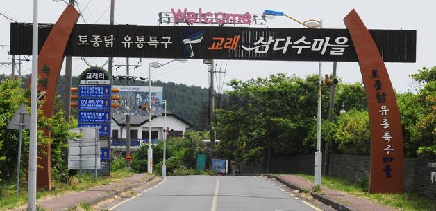 제주 토종닭 '구엄닭', K-미식벨트 주인공 됐다