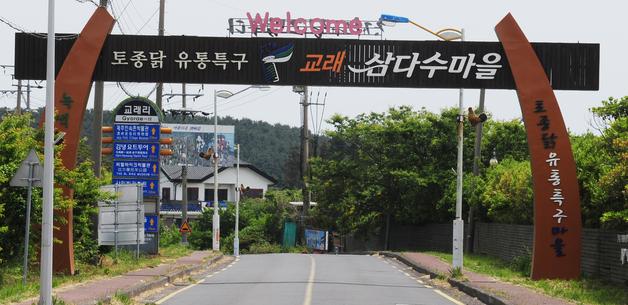 제주 토종닭 '구엄닭', K-미식벨트 주인공 됐다