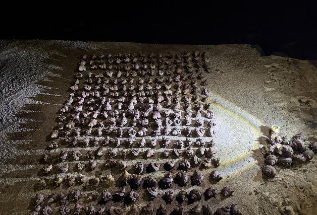 제주해경, 구명조끼 미착용 어선·소라 불법채취 여성 적발