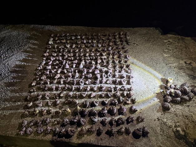 제주해경, 구명조끼 미착용 어선·소라 불법채취 여성 적발