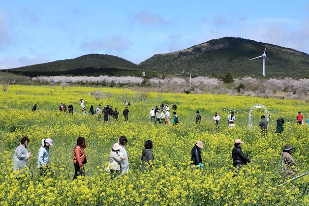 [오늘의 날씨] 제주(5일, 일)…가끔 구름 많음