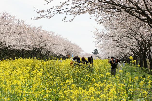 [오늘의 날씨] 제주(6일, 월)…흐리고 가끔 비·미세먼지 주의