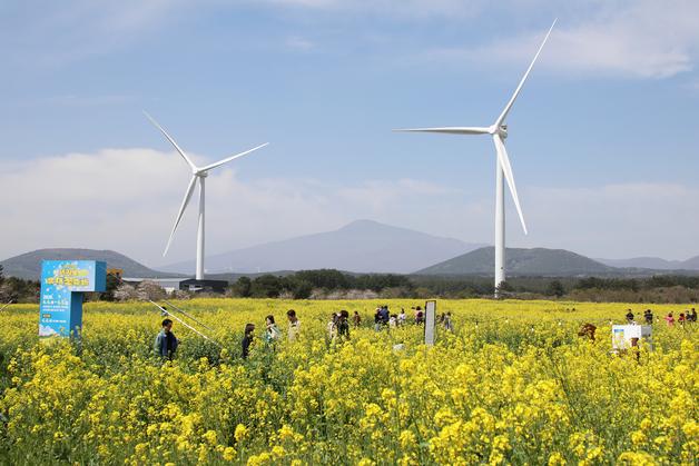 [오늘의 날씨] 제주(7일, 화)…초속 15m 강한 바람