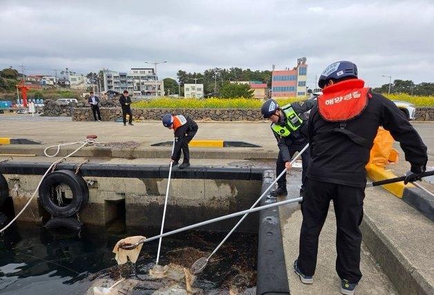 서귀포 하효항서 어선 침몰…해경 "기름 유출 차단"