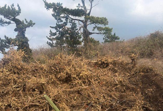 제주자치경찰, 농지에 공사 폐기물 34톤 버린 업체 송치