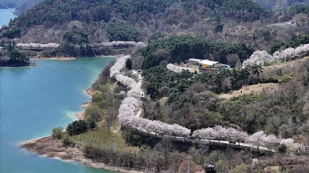 내일부터 전국에 많은 비…제주 최대 250㎜·남해안 120㎜·서울 50㎜