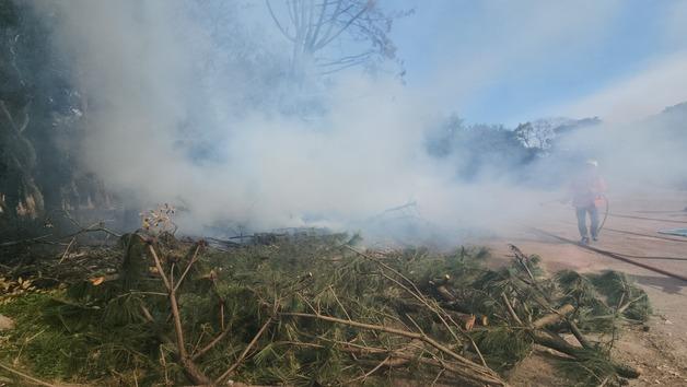 제주시 송당리 야초지 화재…40여분 만에 진화