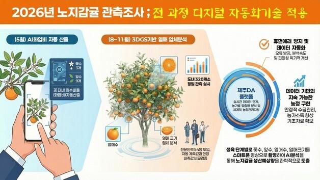 "카메라로 찍으면 열매수 즉시 예측"…제주, 노지감귤 조사 자동화 