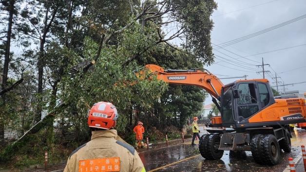 문에 부딪히고 빗물에 미끄러지고…'강풍·호우경보' 제주서 사고 속출