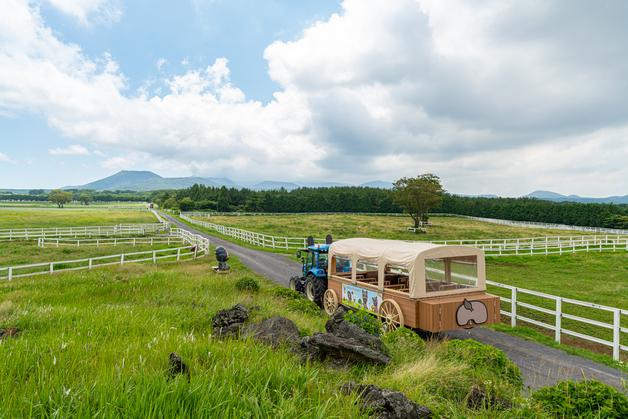 "마차 타고 제주 초원 즐겨요"…마사회, '트랙터 마차 투어' 운영