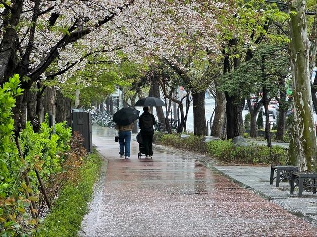 집중호우 오전 대부분 그칠 듯…제주 150㎜·수도권 30㎜ 더(종합)