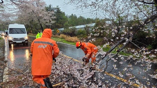 제주, 태풍급 강풍에 물폭탄…항공기 230여편 결항·사고 속출