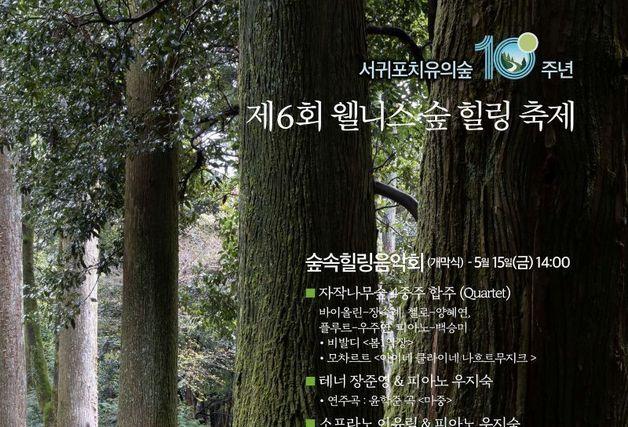 서귀포 치유의숲 개장 10주년…숲길 따라 쉼과 치유 만난다