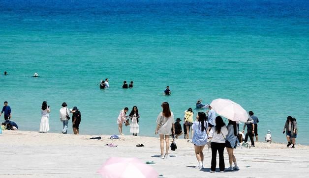 '낮 최고 26도' 맑고 화창한 제주…해변·숲길마다 '북적북적'