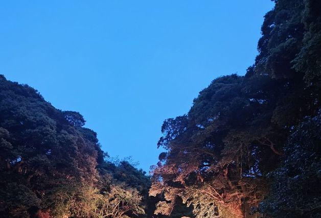 천지연폭포 야간관람 재개…11일 무료 개방·점등식