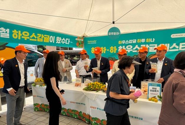 [제주경제소식] 하우스 감귤, 도심 속 소비자 입맛 공략