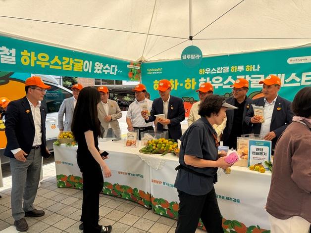 [제주경제소식] 하우스 감귤, 도심 속 소비자 입맛 공략