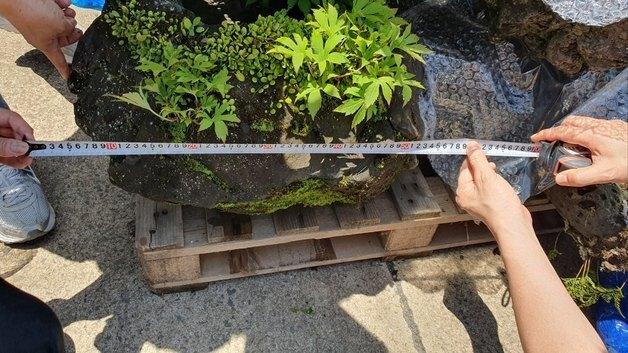 제주 '자연석' 수십점 섬 밖으로 빼돌리려 한 60대