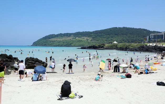 제주 해수욕장 개장 첫 주말 손님맞이 한창…반려견도 '풍덩'
