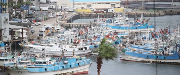 제주도, 어업용 면세유 기준가격 초과분 40% 지원