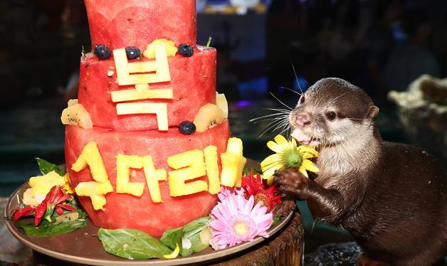 '야무지게 먹어요'
