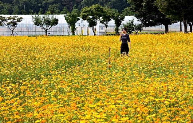 가을 문턱 성큼…선선·건조한 공기 내려오며 기온·습도 '뚝'