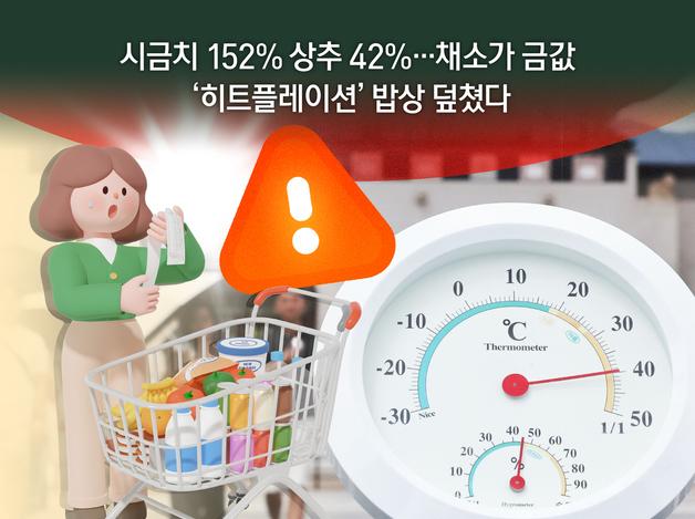 시금치 152%↑ 상추 42%↑, 채소가 금값…'히트플레이션' 밥상 덮쳤다
