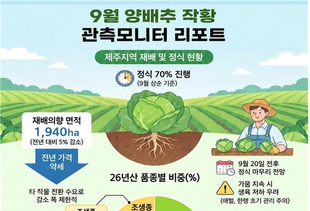 올해 제주산 양배추 재배면적 5% 줄어…브로콜리는 지난해 수준
