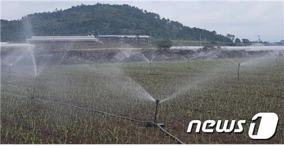 제주, 공공 농업용 지하수 요금 부과한다더니 정작 혈세로 납부