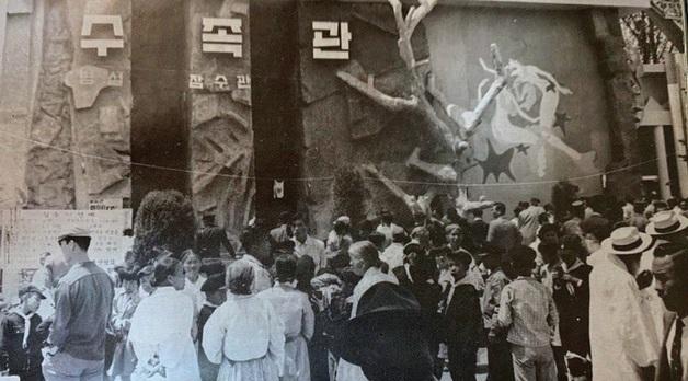 [우리가 몰랐던 해녀 이야기]②인권 논란 부른 1962년 해녀 수족관