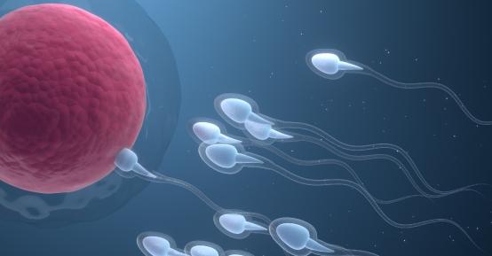 "내 아이인 줄 알았는데"…남의 정자로 시험관 시술, 출산한 아내
