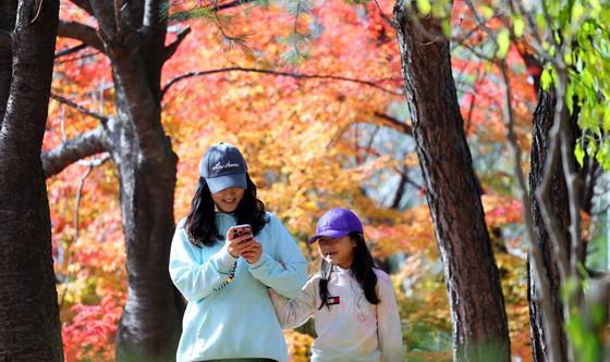 즐거운 가을 산행