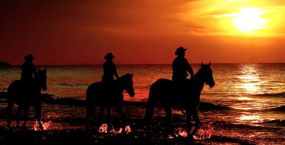 붉은 말의 해, 멈춤 없이 전진하라